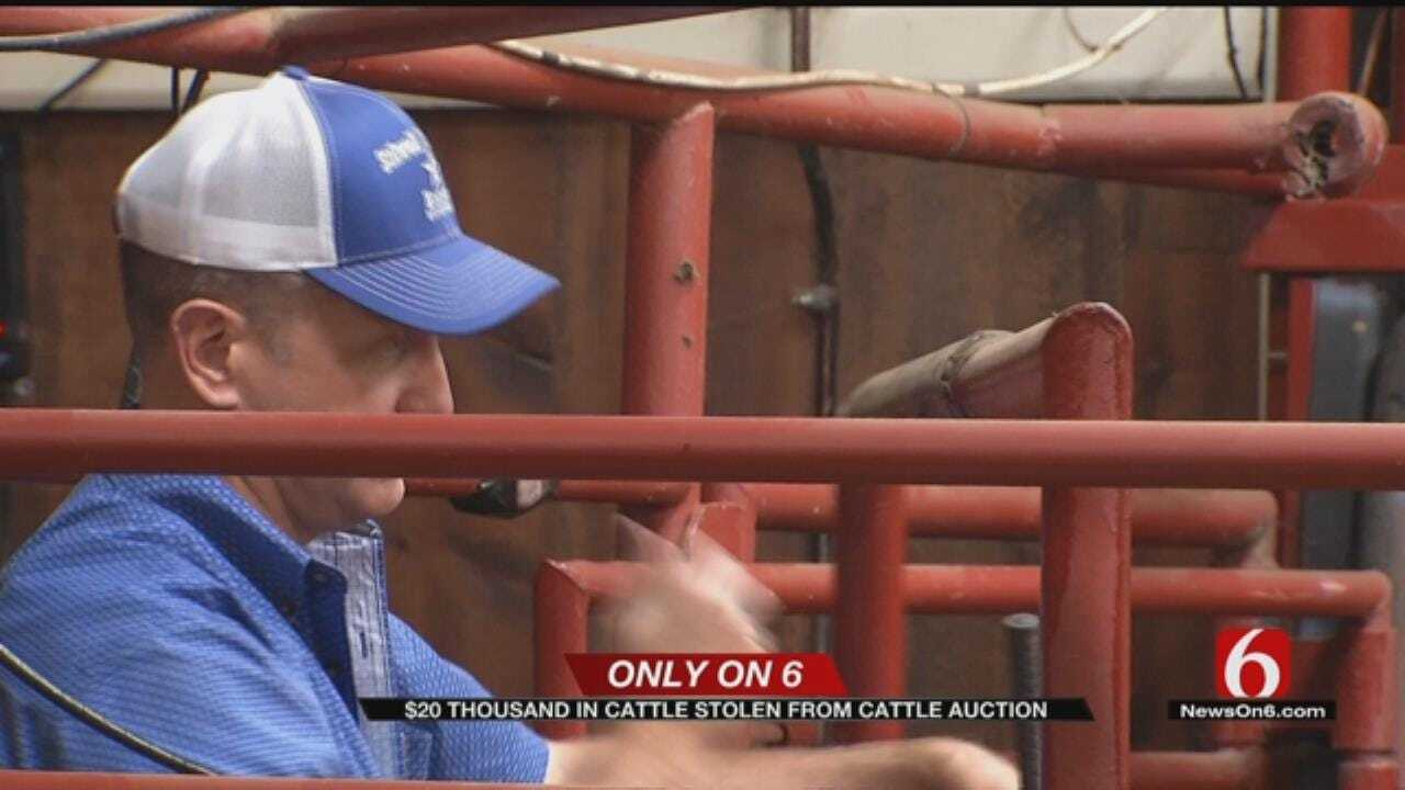 Thieves Steal About $20K Worth Of Cattle In Adair County