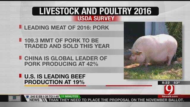 Agriculutre Report: USDA Releases Livestock Survey
