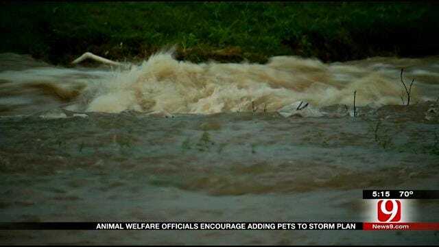 OKC Dogs Drowned In Flood Waters After Owners Left Them Tie Up