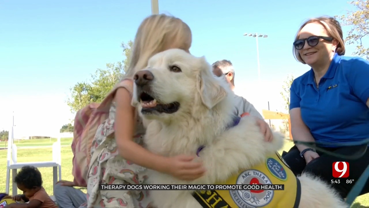 Therapy Dogs Working Their Magic To Promote Good Health