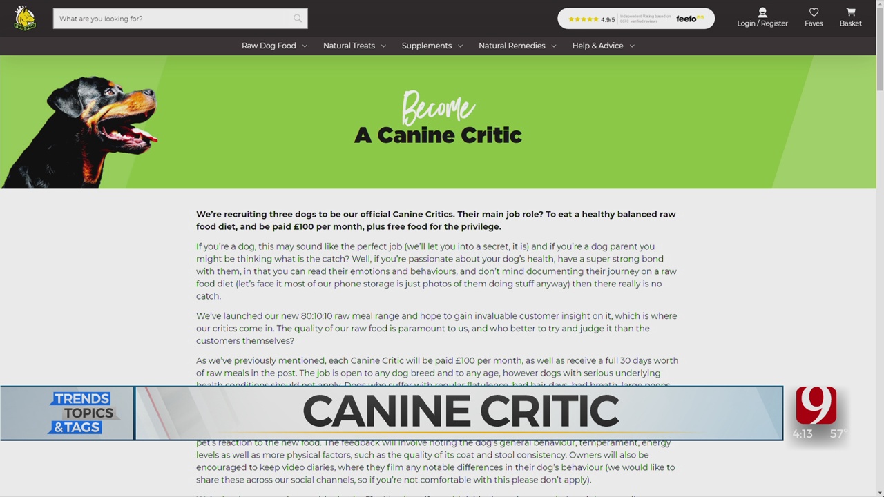 Trends, Topics & Tags: Canine Critic