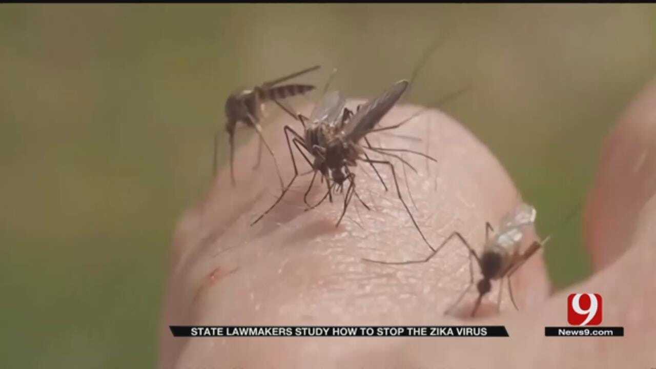Lawmakers Shown Results Of State's Zika Virus Study