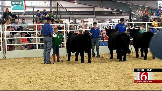 Oklahoma Students Attend 'Largest Classroom' At Tulsa State Fair