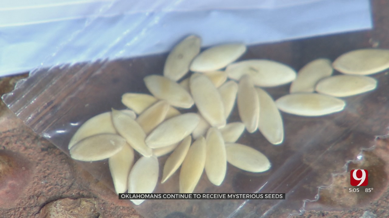 Oklahomans Continue To Receive Mysterious Seeds