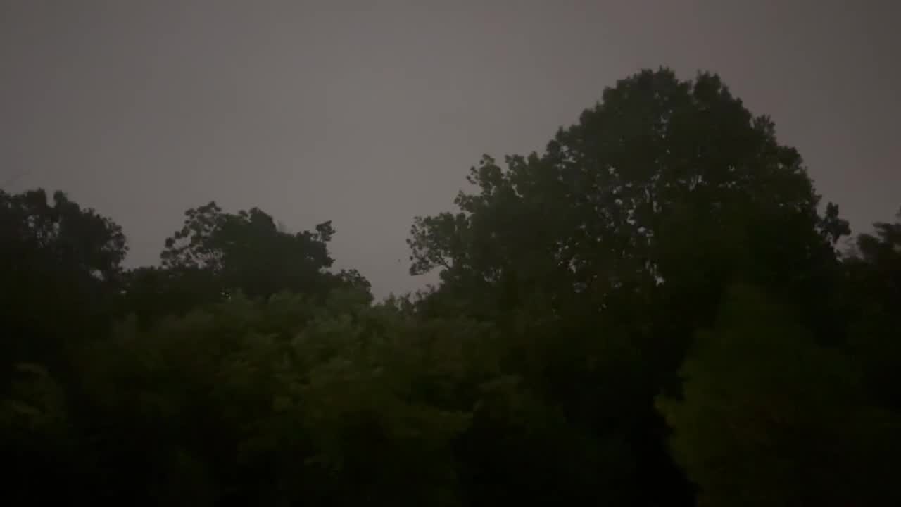 VIDEO: Lightning Strikes Tree During Severe Storms In Tulsa