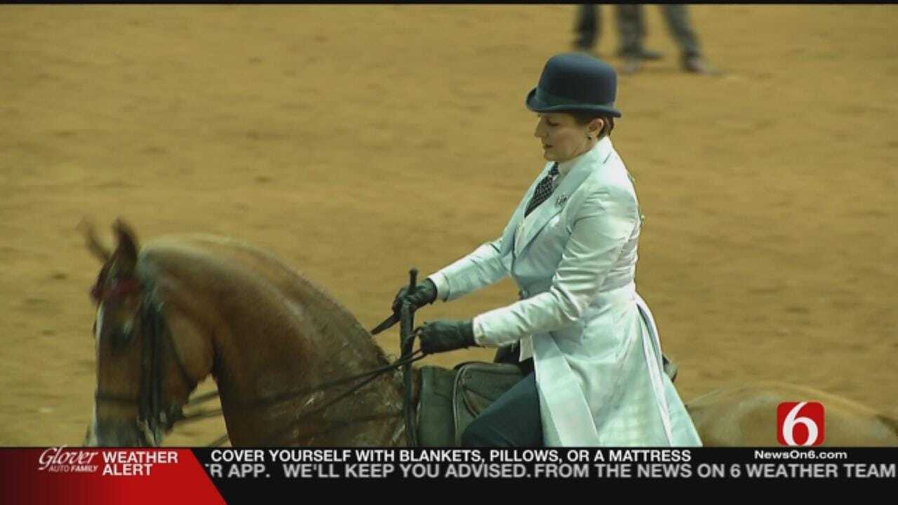Arabian Horse Show Kicks Off In Tulsa
