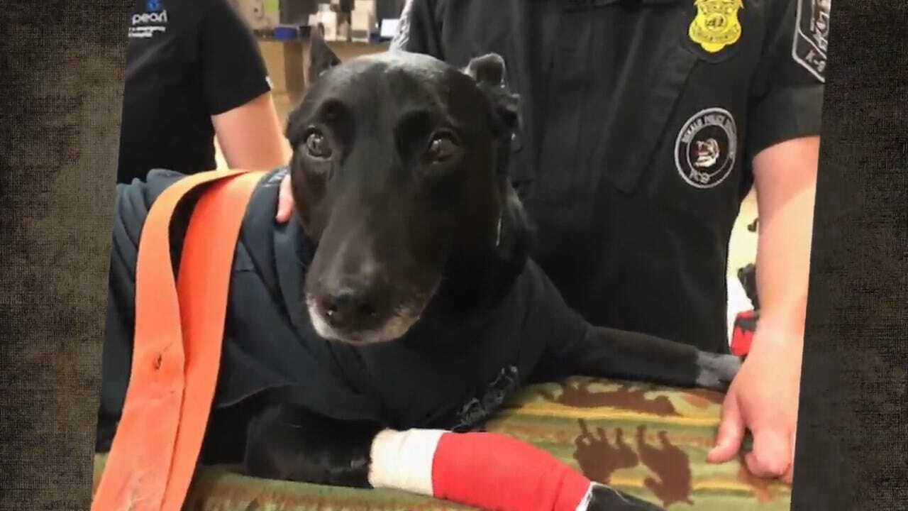 Officers Honor Hero K-9 Recovering After Shooting