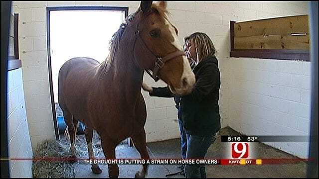 Horse Rescue Ranch Hits Hard Times With Drought