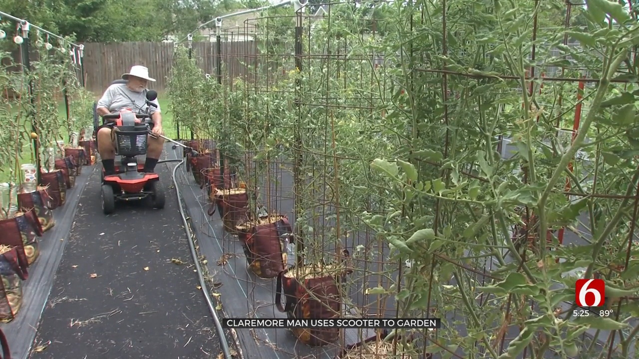80-Year-Old Claremore Man Uses Scooter To Tend To Flourishing Backyard Garden