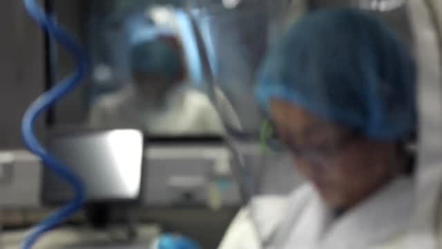 China Gives World First Look At Wuhan Laboratory Since Pandemic