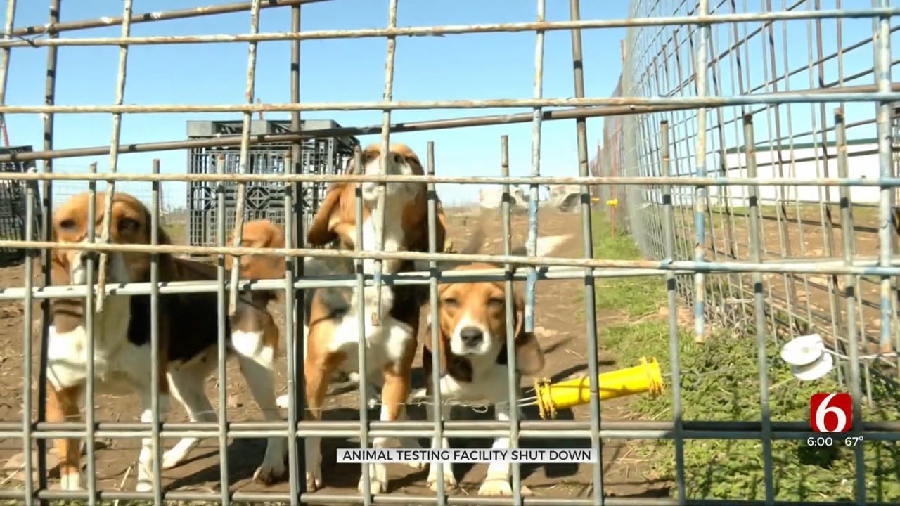 Animals In Nowata County Removed From Testing And Research Lab