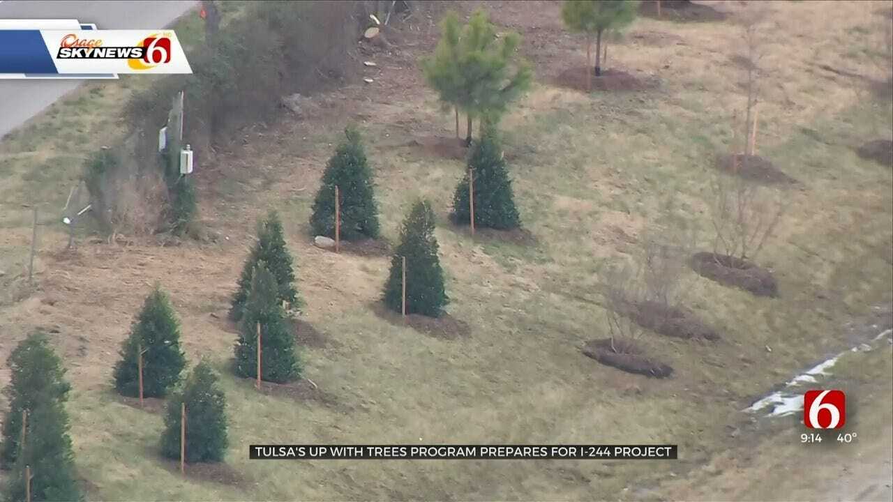 Tulsa's Up With Trees To Plant Over 2,000 Trees By 2021