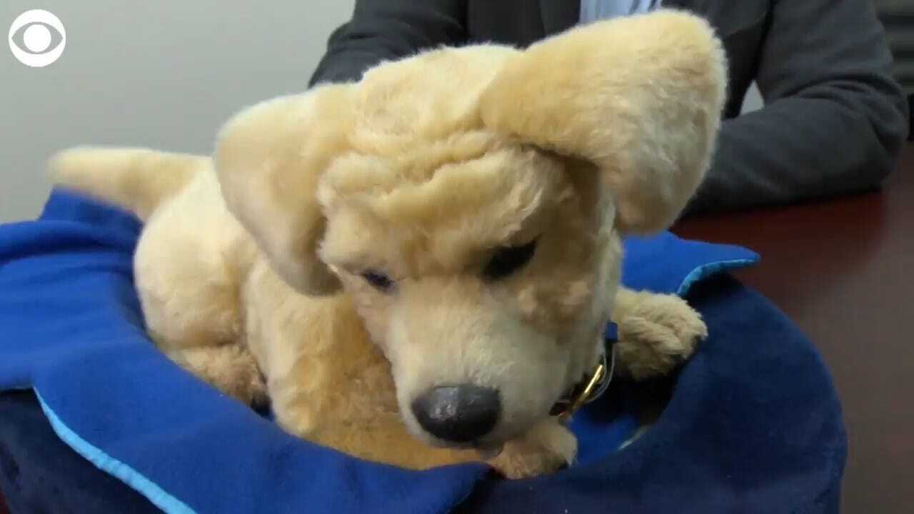 MUST SEE: Robot Therapy Dogs