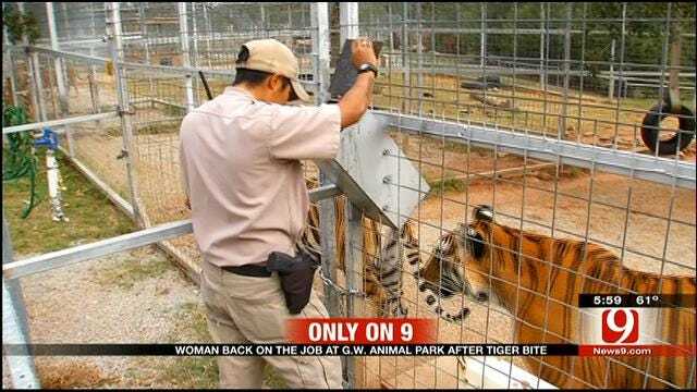 Employee Attacked By Tiger At Wynnewood Exotic Animal Park Returns To Work