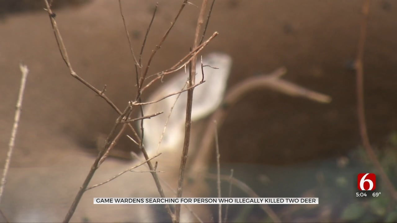 Oklahoma Game Wardens Investigate Poaching In Washington County