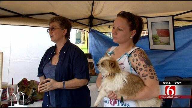 Vandals Hit Animal Rescue Advocates At Blue Dome Arts Festival