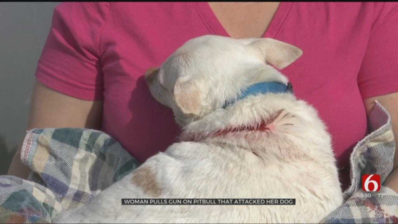 Tulsa Woman Fires Gun At Pit Bull That Attacked Her Chihuahua