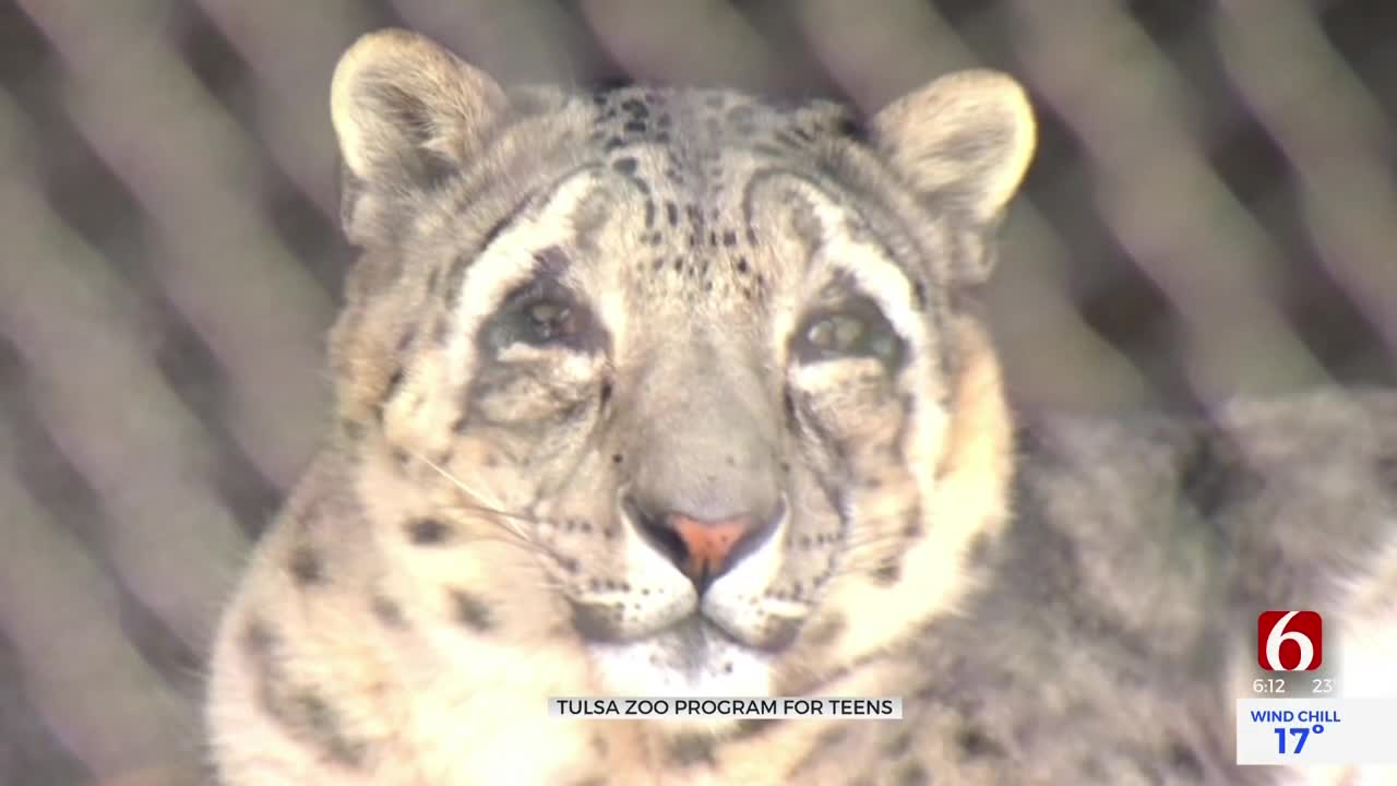 Tulsa Zoo Offers Mentorship Program For Local Students