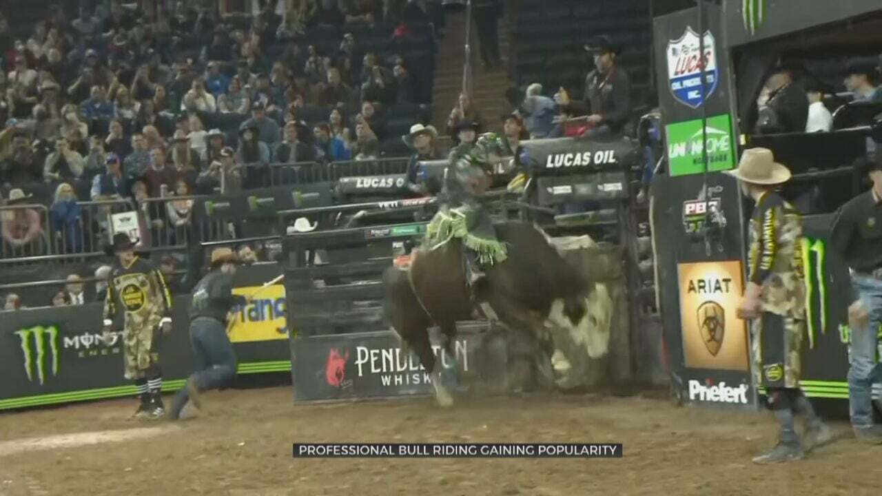 Professional Bull Riding Grows In Popularity Across The US