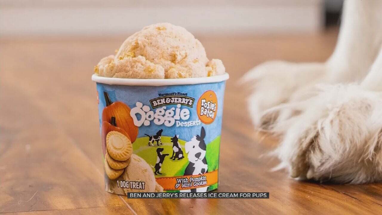 Ben & Jerry's Rolls Out New Line Of Frozen Desserts For Dogs