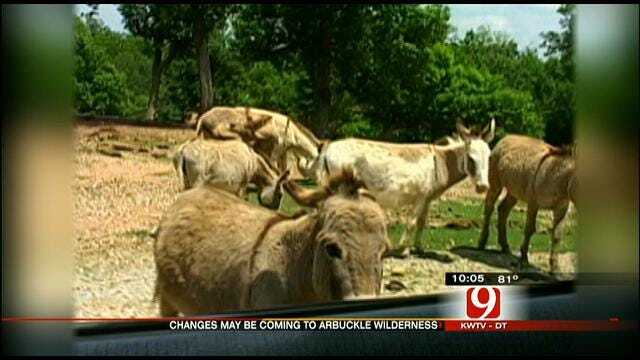 Controversy, Changes Stirring At Popular State Animal Park