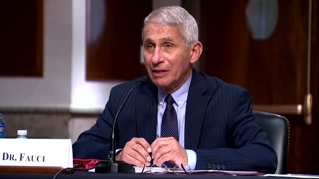 Dr. Fauci: 'If We Are Going To Contain This, We've Got To Contain This Together'