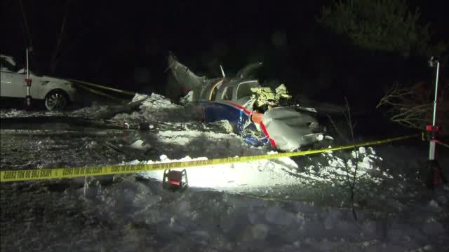 Snowmobilers Help Rescue 3 People, Dog From Plane Crash
