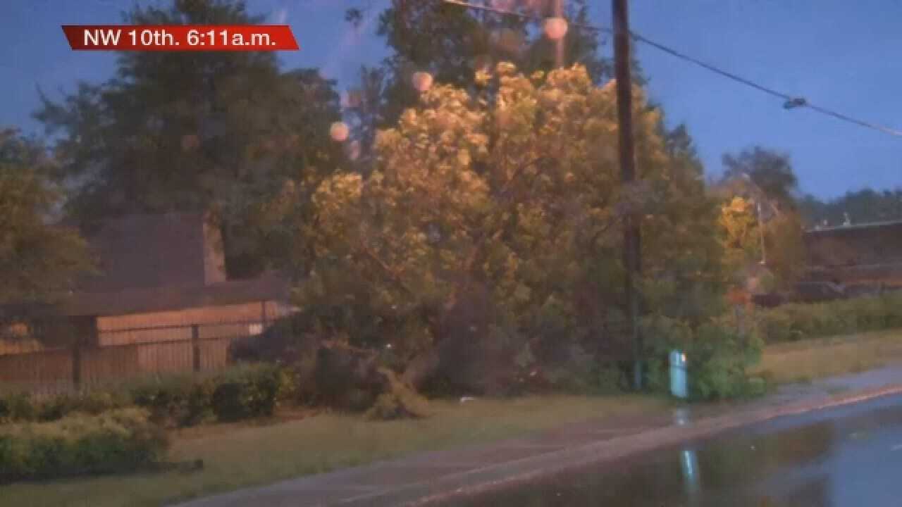 Storms Damage Trees And Powerlines ON NW 10th