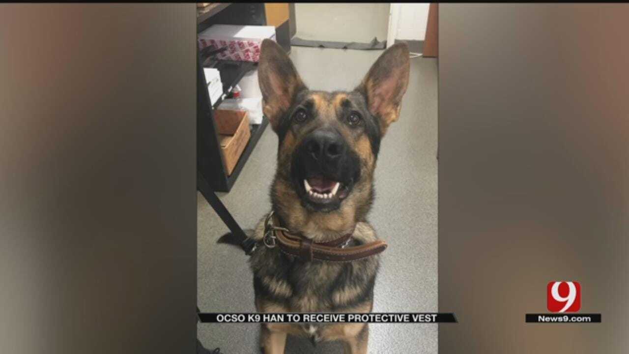 OCSO K-9 Han To Receive Protective Vest