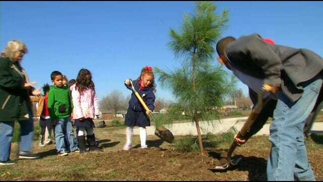 Tulsa Elementary Students Get Landscaping Lesson With Tree Planting