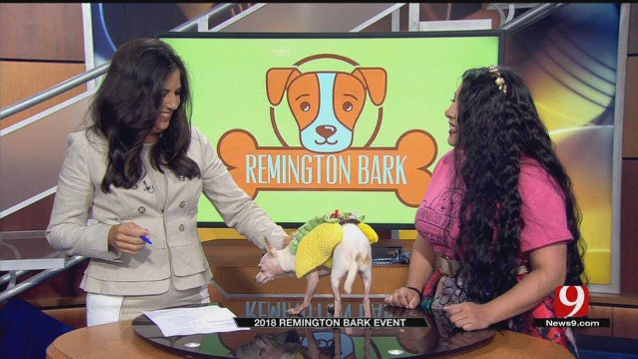 Remington Bark