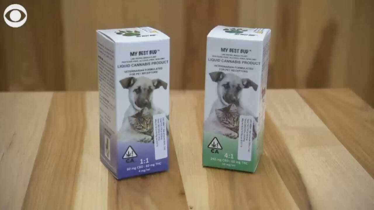 Companies Create Cannabis Products For Pets