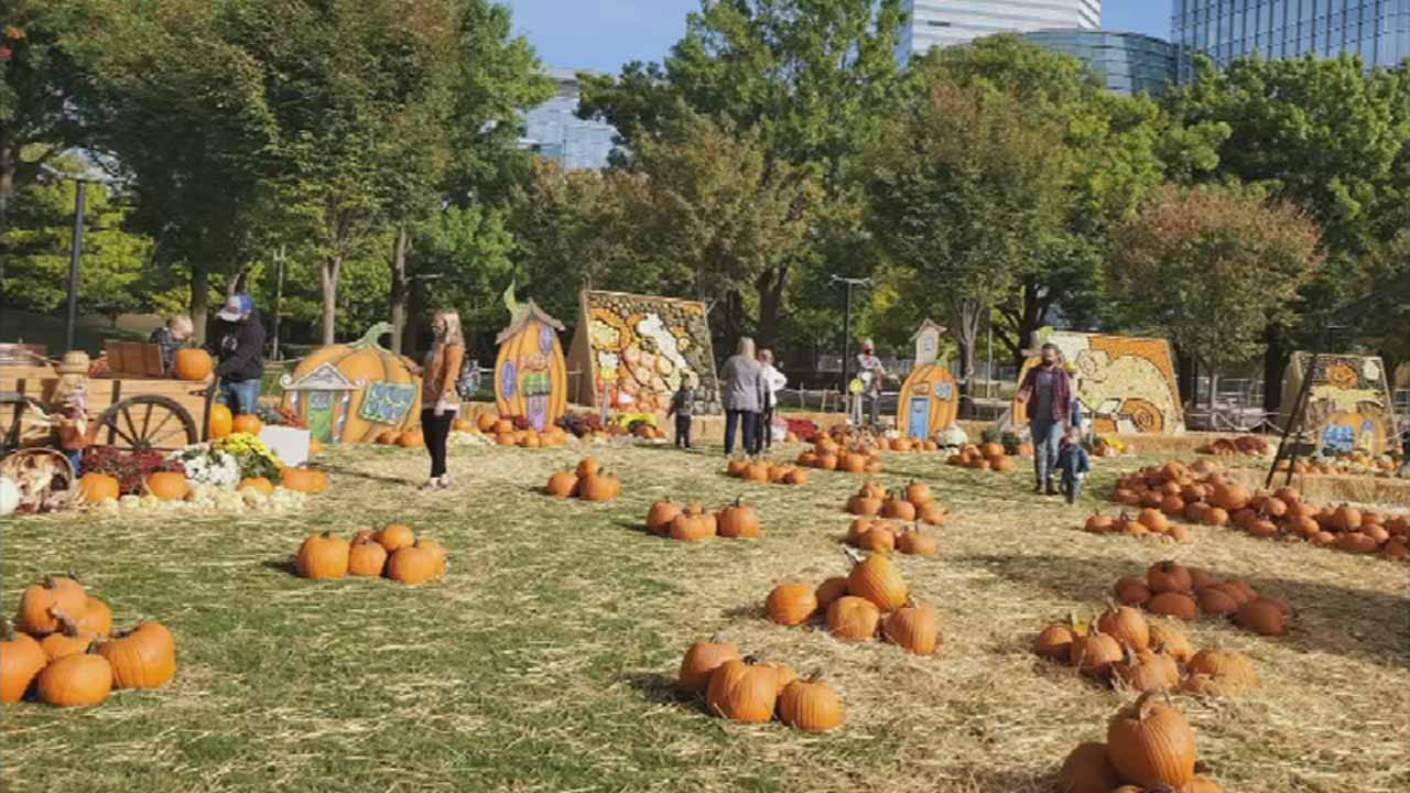 The Great Pumpkin Patch Event Begins At Myriad Gardens