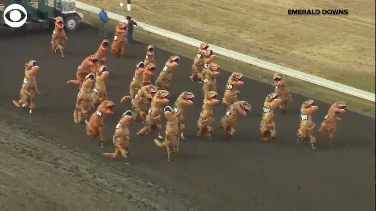 WATCH: Dinosaurs Take The Track In Viral T. Rex Races