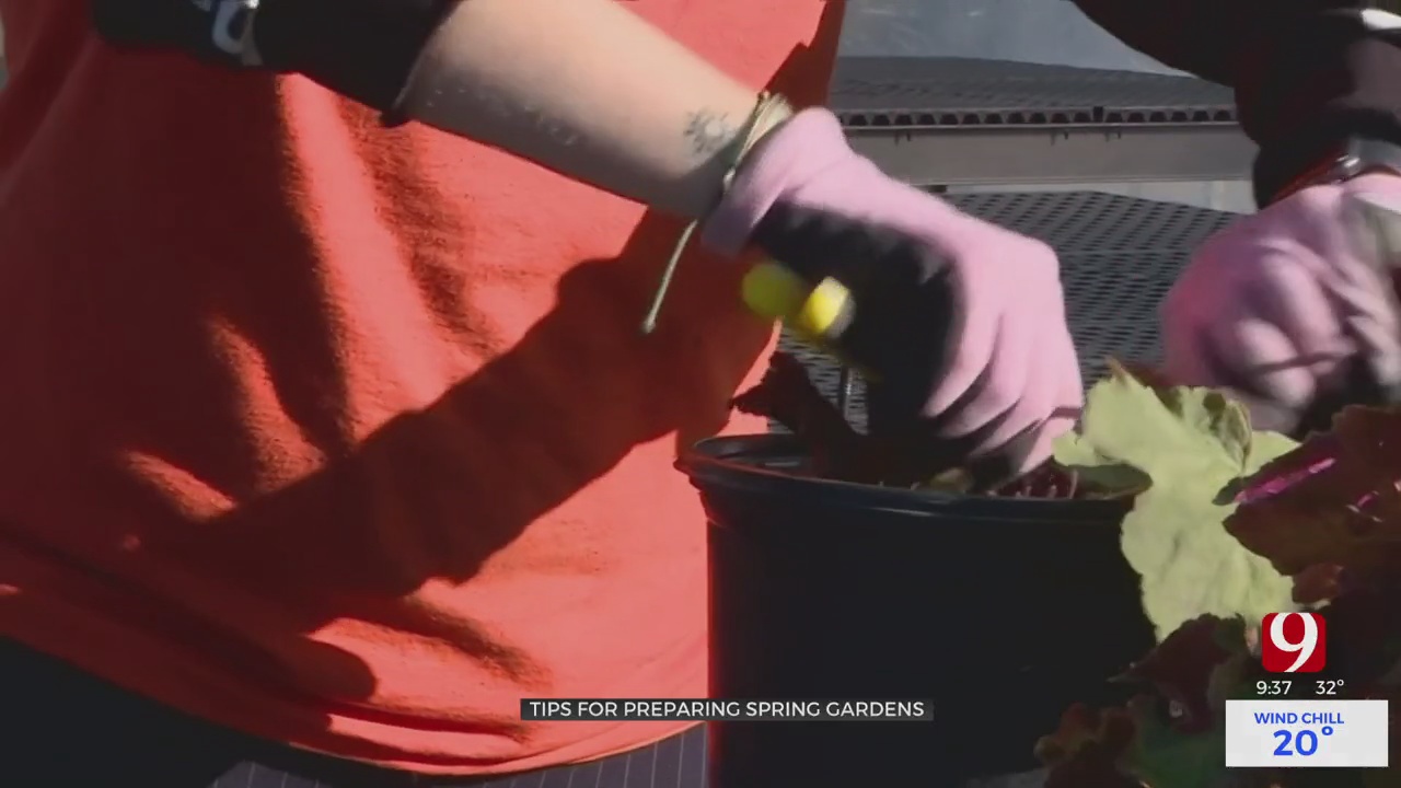 Gardening Experts Give Advice To Start The New Year