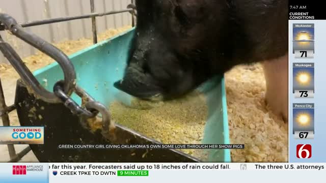 Green Country Girl Wins Top Prize With News On 6 Show Pigs