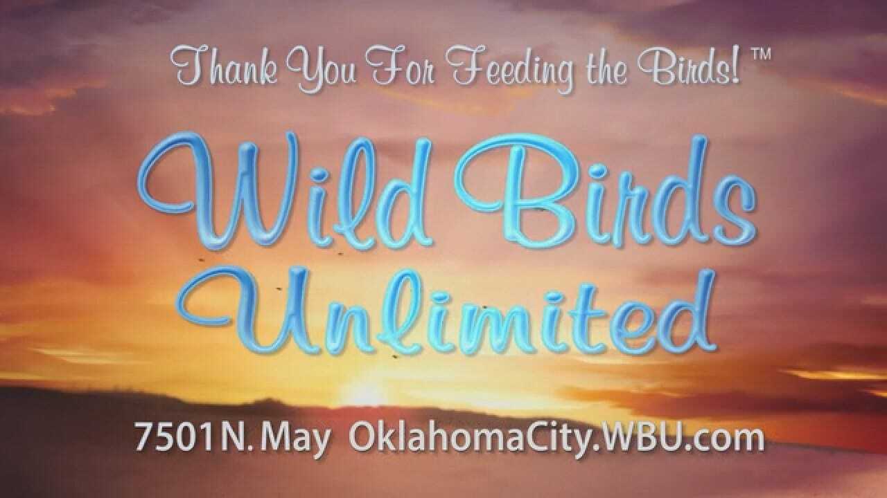 WildBirds_WB-2019-15-03_PreRoll