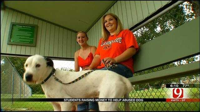 Three OSU Students Rescue Abandoned Dog Tortured By Kids