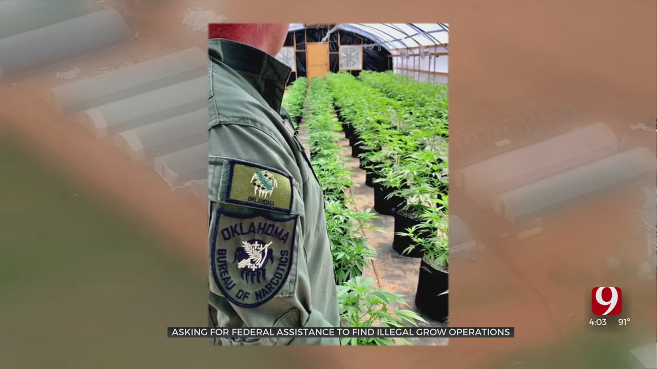 Oklahoma Seeks Millions In Federal Funds To Fight Problem Of Illegal Marijuana Grow Operations 