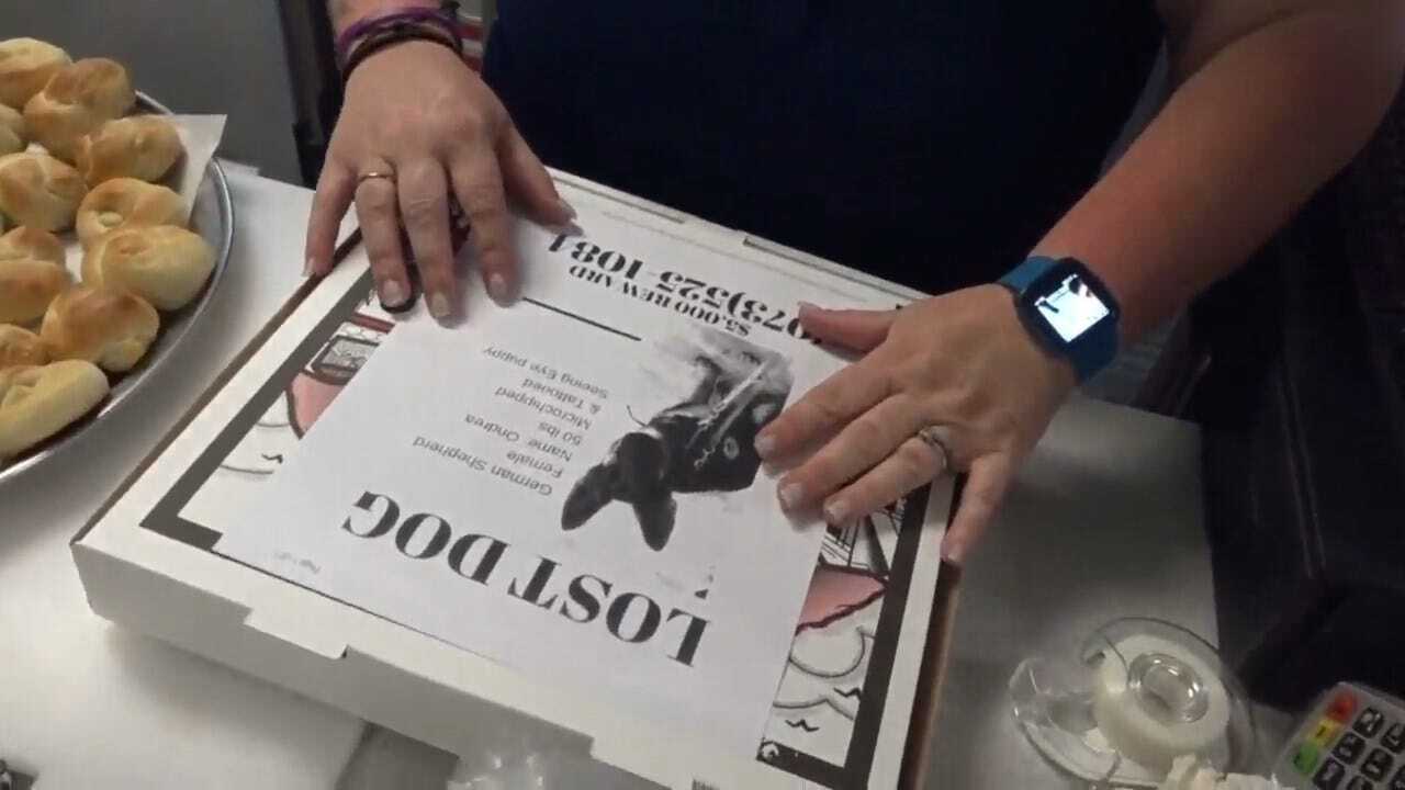 Pizzeria Puts Missing Pet Flyers On Hundreds Of Pizza Boxes