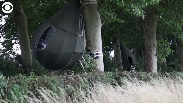 Watch: You Can Sleep Among The Trees In a Unique Tent In Belgium