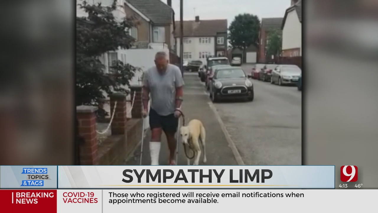 Trends, Topics & Tags: Dog's Sympathy Limp