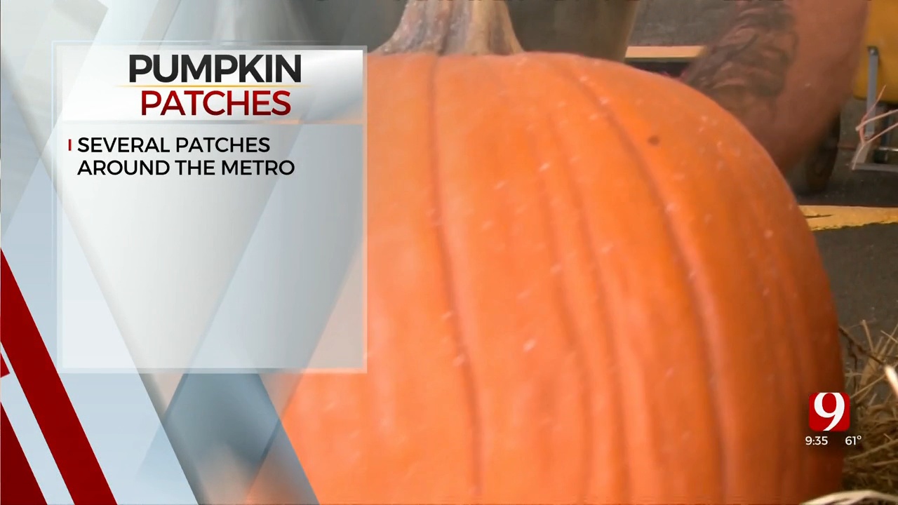 Pumpkin Patches Happening Across OKC Metro