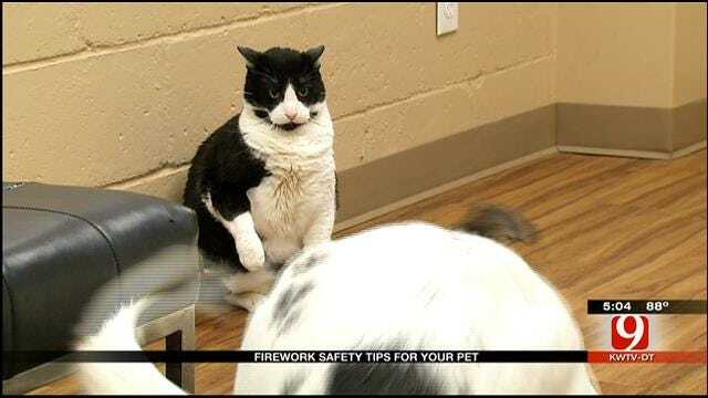 Midwest City Animal Shelter Gives Fireworks Safety Tips For Your Pets