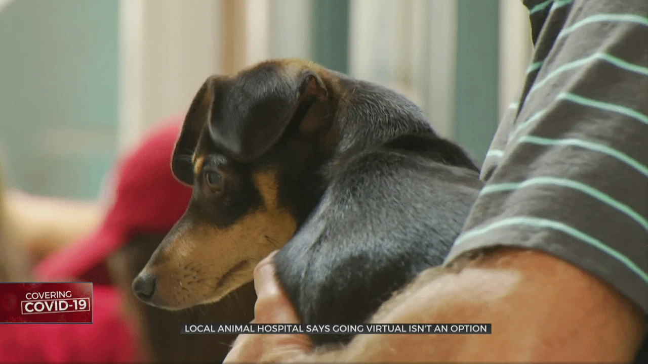 Local Animal Hospital Facing Hardships Caused By Pandemic