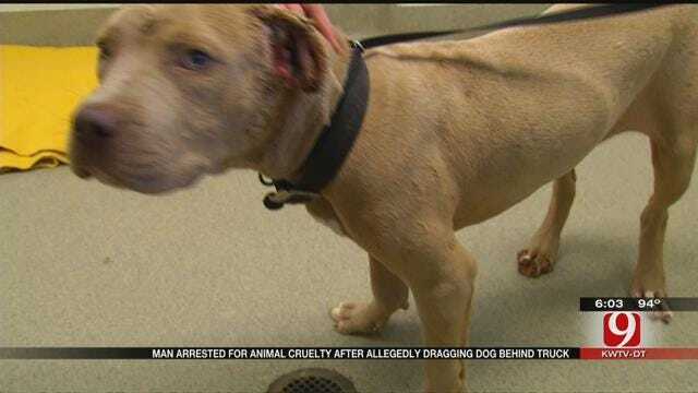 Police: OKC Driver Dragged Dog By Chain For Miles