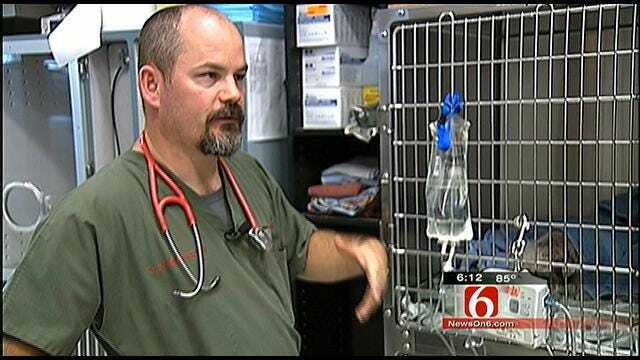 Tulsa Emergency Pet Clinic Operates Animal Ambulance