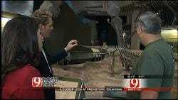Kelly, Amanda Check Out Dinosaur Fossils At Sam Noble Museum