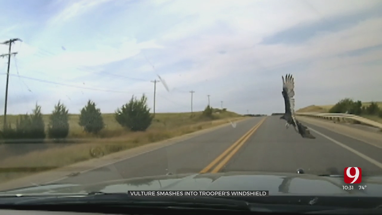 WATCH: Dashcam Video Captures Moment Vulture Slams Into OHP Trooper’s Windshield