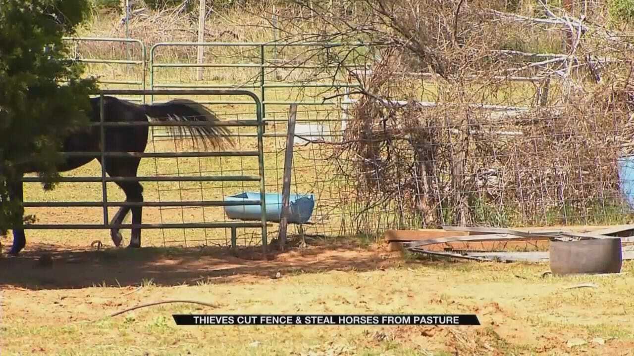 Oklahoma City Police Search For Horse Thieves